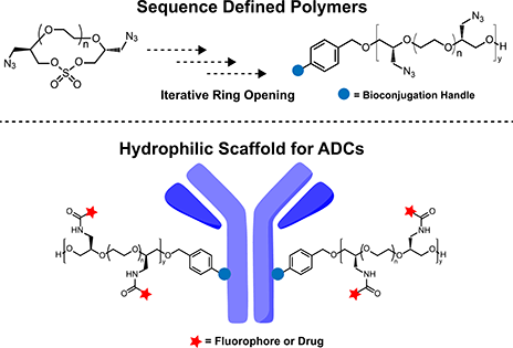 Graphical abstract: Diazido macrocyclic sulfates as a platform for the synthesis of sequence-defined polymers for antibody drug conjugates