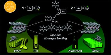 Graphical abstract: Fluorescent supramolecular polymers of barbiturate dyes with thiophene-cored twisted π-systems