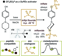 Graphical abstract: SuFEx-enabled, chemoselective synthesis of triflates, triflamides and triflimidates