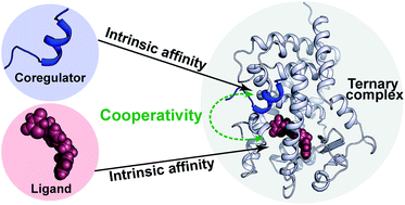 Graphical abstract: Cooperativity as quantification and optimization paradigm for nuclear receptor modulators