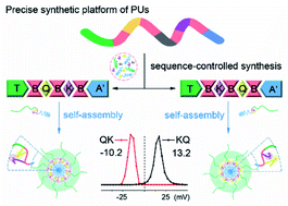 Graphical abstract: Precisely synthesized segmented polyurethanes toward block sequence-controlled drug delivery