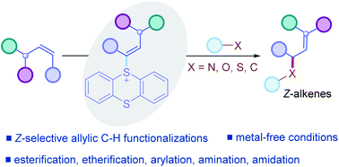 Graphical abstract: Metal-free allylic C–H nitrogenation, oxygenation, and carbonation of alkenes by thianthrenation