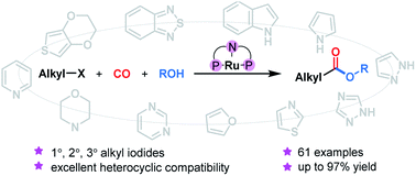 Graphical abstract: Ruthenium pincer complex-catalyzed heterocycle compatible alkoxycarbonylation of alkyl iodides: substrate keeps the catalyst active