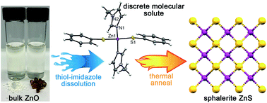 Graphical abstract: Kinetics and mechanistic details of bulk ZnO dissolution using a thiol–imidazole system