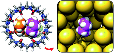 Graphical abstract: Cucurbiturils mimicked by low polarizability solvents with pre-formed cavities: an empirical model to predict hydrocarbon selectivity