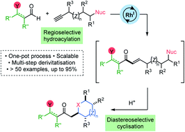 Graphical abstract: Diverse saturated heterocycles from a hydroacylation/conjugate addition cascade