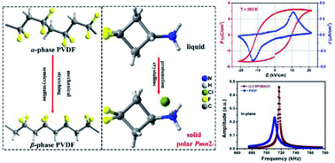 Graphical abstract: A small-molecule organic ferroelectric with piezoelectric voltage coefficient larger than that of lead zirconate titanate and polyvinylidene difluoride