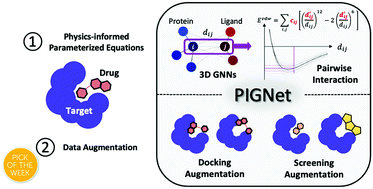 Graphical abstract: PIGNet: a physics-informed deep learning model toward generalized drug–target interaction predictions