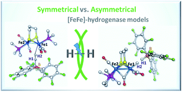 Graphical abstract: Geometrical influence on the non-biomimetic heterolytic splitting of H2 by bio-inspired [FeFe]-hydrogenase complexes: a rare example of inverted frustrated Lewis pair based reactivity