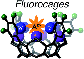 Graphical abstract: Nonspherical anion sequestration by C–H hydrogen bonding