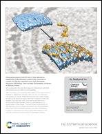 Graphical abstract: Inside back cover