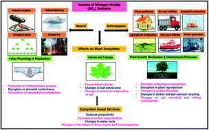 Graphical abstract: Metal oxide nanomaterial-based sensors for monitoring environmental NO2 and its impact on the plant ecosystem: a review