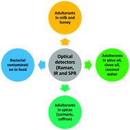 Graphical abstract: Fast tracking of adulterants and bacterial contamination in food via Raman and infrared spectroscopies: paving the way for a healthy and safe world
