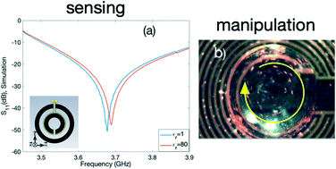 Graphical abstract: An integrated platform for metamaterial-based sensing and surface acoustic wave-based acoustofluidics utilising circular interdigital transducers