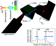 Graphical abstract: Reflective leaky waveguide gratings (LWGs) with internal referencing for sensing