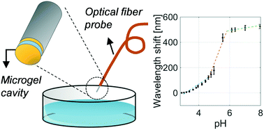 Graphical abstract: Cavity enhanced lab-on-fiber optrode for ultra-sensitive pH monitoring