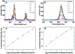 Graphical abstract: Plasmonic nanometal surface energy transfer-based dual excitation biosensing of pathogens