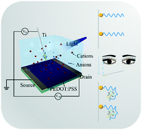 Graphical abstract: Organic photoelectrochemical transistor detection of tear lysozyme