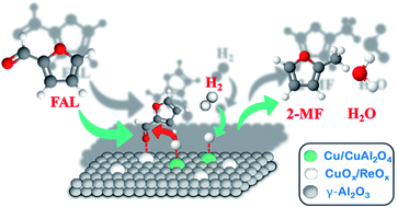 Graphical abstract: Selective hydrogenolysis of furfural into fuel-additive 2-methylfuran over a rhenium-promoted copper catalyst