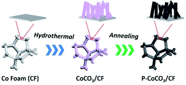 Graphical abstract: P-doped CoCO3 nanosheets: an ultra-active versatile electrocatalyst for hydrogen evolution, oxygen evolution and hydrazine oxidation reactions