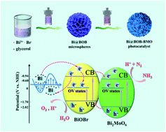 Graphical abstract: Facile construction of a hierarchical Bi@BiOBr–Bi2MoO6 ternary heterojunction with abundant oxygen vacancies for excellent photocatalytic nitrogen fixation