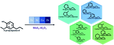 Graphical abstract: Role of transition metals on MoS2-based supported catalysts for hydrodeoxygenation (HDO) of propylguaiacol