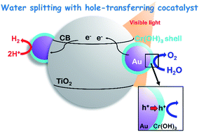 Graphical abstract: Modification of gold nanoparticles with a hole-transferring cocatalyst: a new strategy for plasmonic water splitting under irradiation of visible light