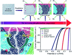 Graphical abstract: Engineering multinary heterointerfaces in two-dimensional cobalt molybdenum phosphide hybrid nanosheets for efficient electrocatalytic water splitting