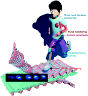 Graphical abstract: ZnO nanoparticle confined stress amplified all-fiber piezoelectric nanogenerator for self-powered healthcare monitoring