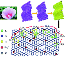 Graphical abstract: Porous biochar nanosheets loaded with Fe3C particles accelerate electrochemical reactions and their applications in Li–S batteries