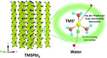 Graphical abstract: Trimethylsulfonium lead triiodide (TMSPbI3) for moisture-stable perovskite solar cells