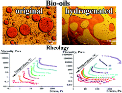 Graphical abstract: Rheological, thermophysical, and morphological features of original and hydrogenated bio-oils