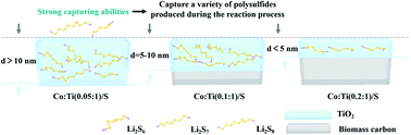 Graphical abstract: A thick titanium dioxide layer formed by Co-doping on a carbon surface promotes the polysulfide-adsorption ability in Li–S batteries