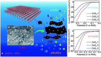Graphical abstract: Exploring the electrocatalytic activity of cobalt disulfide nanosheets towards the hydrogen evolution reaction with in situ ECAFM