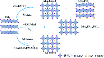 Graphical abstract: Highly stable and efficient α-phase FA-based perovskite solar cells prepared in ambient air by strategically enhancing the interaction between ions in crystal lattices