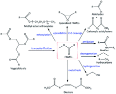 Graphical abstract: Recent advances in sustainable production and catalytic transformations of fatty acid methyl esters