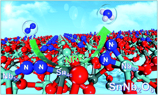 Graphical abstract: SnNb2O6 nanosheets for the electrocatalytic NRR: dual-active-center mechanism of Nb3c and Sn4c–Nb5c dimer