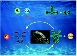 Graphical abstract: Biomimetic polydopamine catalyst with redox activity for oxygen-promoted H2 production via aqueous formaldehyde reforming