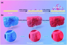 Graphical abstract: A N-doped porous carbon framework with Ag-nanoparticles toward stable lithium metal anodes