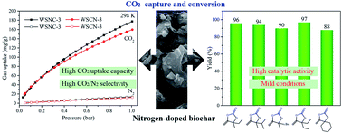Graphical abstract: Renewable N-doped microporous carbons from walnut shells for CO2 capture and conversion