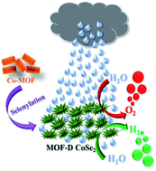 Graphical abstract: Metal–organic framework (MOF) derived flower-shaped CoSe2 nanoplates as a superior bifunctional electrocatalyst for both oxygen and hydrogen evolution reactions