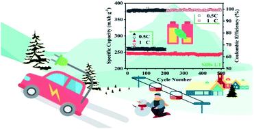 Graphical abstract: Application of an inorganic sulfur-modified expanded graphite anode for sodium storage at low temperatures