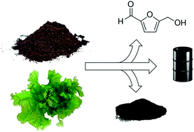 Graphical abstract: An integrated biorefinery to produce 5-(hydroxymethyl)furfural and alternative fuel precursors from macroalgae and spent coffee grounds