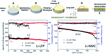 Graphical abstract: Building a spontaneously formed and self-healing protective layer with an F-rich electrochemically active organic molecule for ultra-stable Li metal batteries