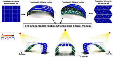 Graphical abstract: Self-shape-transformable 3D tessellated bifacial crystalline Si solar cell module enabling extra energy gain through intervals and an integrated actuator