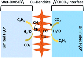 Graphical abstract: Unravelling the chemistry of catalyst surfaces and solvents towards C–C bond formation through activation and electrochemical conversion of CO2 into hydrocarbons over micro-structured dendritic copper