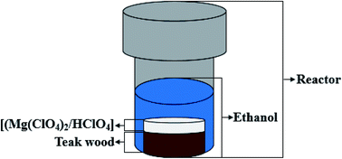 Graphical abstract: Use of a Lewis acid, a Brønsted acid, and their binary mixtures for the liquefaction of lignocellulose by supercritical ethanol processing