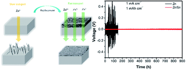 Graphical abstract: An in situ self-assembled 3D zincophilic heterogeneous metal layer on a zinc metal surface for dendrite-free aqueous zinc-ion batteries