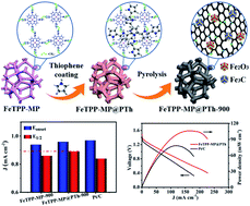 Graphical abstract: A “micropores & active species protection” strategy for the preparation of a high-performance Fe/S/N-composited porous carbon catalyst for efficient oxygen reduction reaction and zinc–air batteries