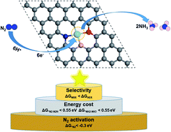 Graphical abstract: Boosting nitrogen reduction on single Mo atom by tuning its coordination environment